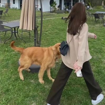 狼厅