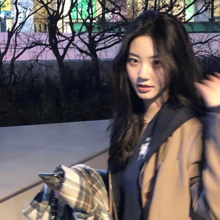女猫